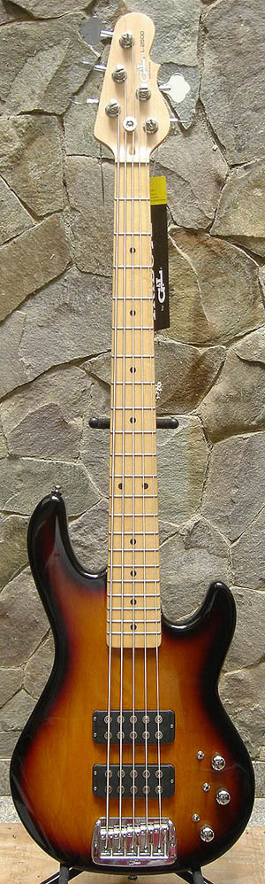 Un ptit Payaka Way ? - Page 2 G&L5Strings3TS